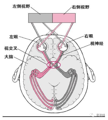 微信图片_20220309154658.png